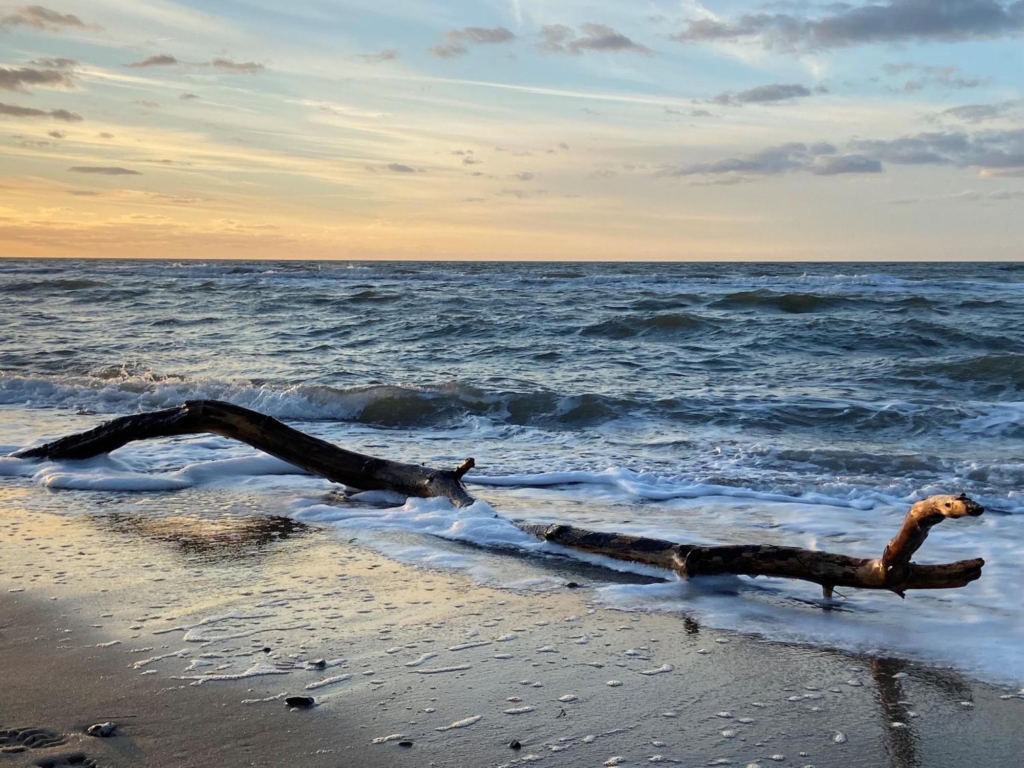 Ferienwohnung Strandkoje Дирхаген Екстериор снимка