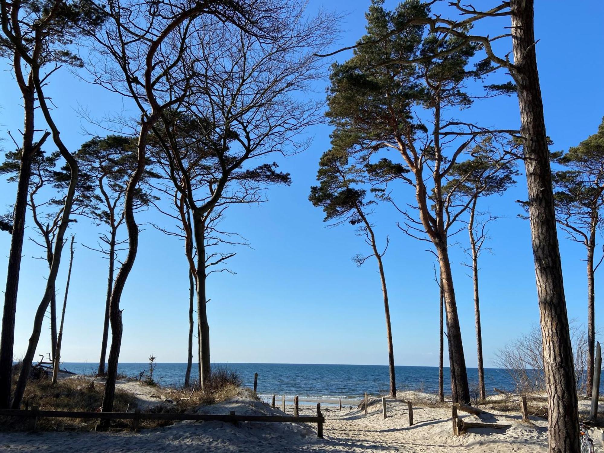 Ferienwohnung Strandkoje Дирхаген Екстериор снимка