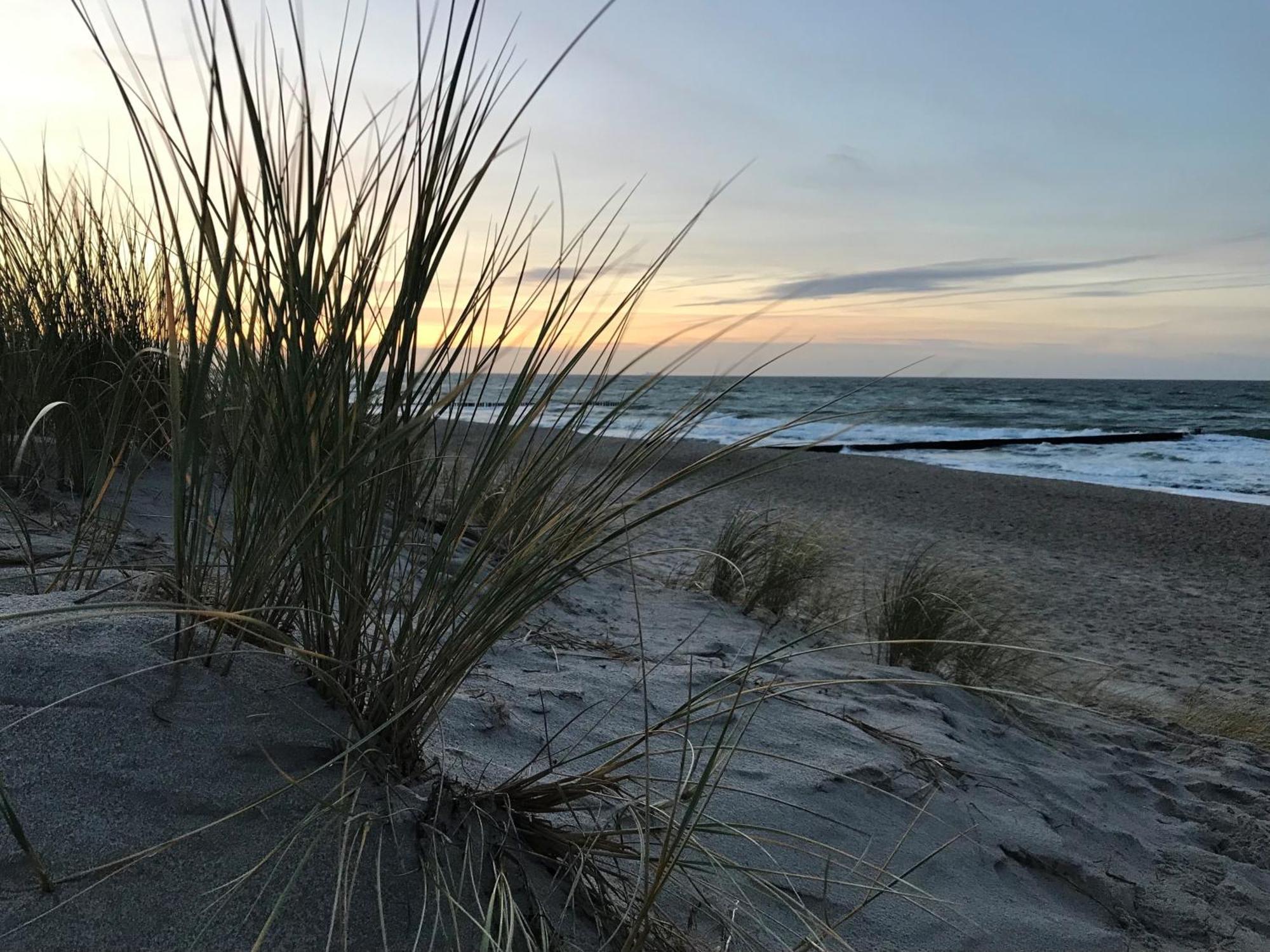 Ferienwohnung Strandkoje Дирхаген Екстериор снимка